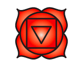 The Base or Root Chakra: Conception to 1 year